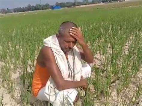 Due To Lack Of Rain Farmers Depend On God Cracks Started Falling In The Fields मधुबनी में