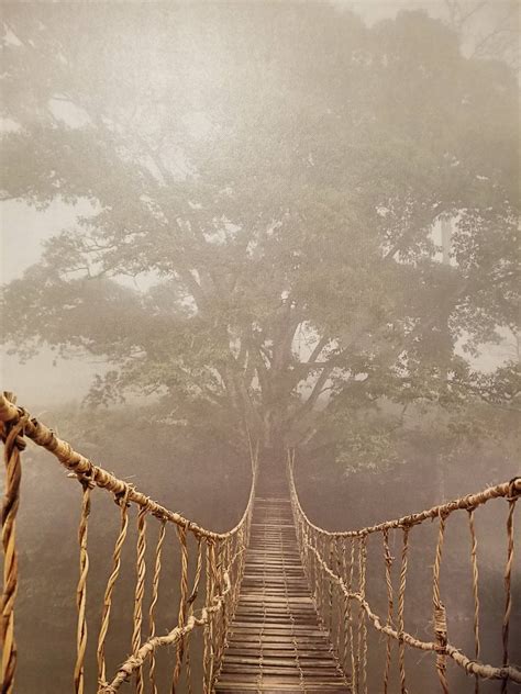 Jungle Bridge Wallpapers - Top Free Jungle Bridge Backgrounds ...