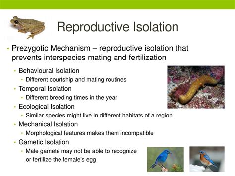 Reproductive Isolation