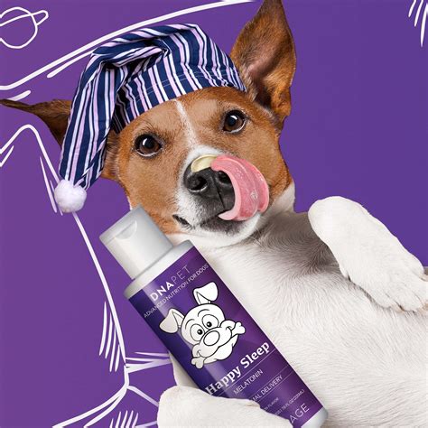 Are Melatonin Gummies Safe For Dogs