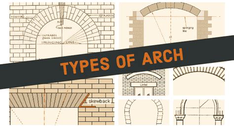 Types of Semi Circular Arches in BPD: Exam Insights 2024