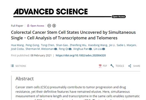 中美科学家利用新技术揪出肿瘤干细胞中的“静默杀手” 南开要闻 南开大学