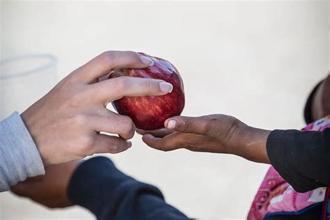La Bondad Humana: Un Faro De Esperanza En La Historia | Basado En ...