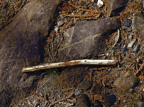 Stick Porn R Fighters