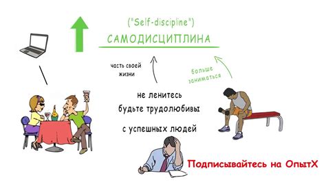 Нет Оправданий! Сила Самодисциплины Брайан Трейси Обзор Книги Как ...