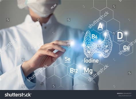 Essential Nutrients Thyroid Gland Health Including Stock Photo