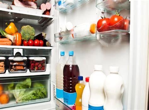 20+ Best RV Fridge 2021 (Tips & Tricks) - The Good Luck Duck