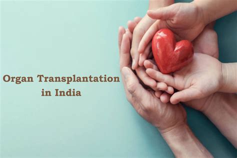 Why India Is The Best Place For Organ Transplantation Dania Medicare