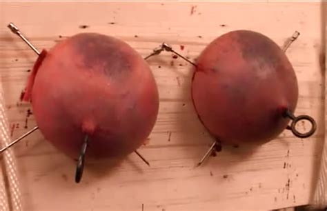 Needle Pain Bdsm Extreme Tit Torture Pussy Torture Tg Page