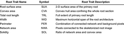 root traits captured   developed vision based root model