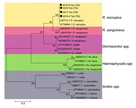 Metagenomic Profiling Of Viruses Associated With Rhipicephalus