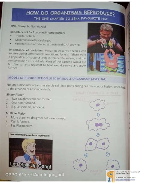 BKP Cheat Sheet Science Class 10 - Utkarsh Saxena - Page 52 | Flip PDF ...