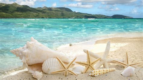 Nature Beach Sand Ocean Sea Shore Vacation Water Tropical 4K HD ...