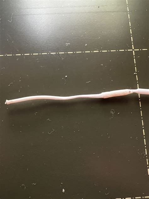 Having issues after clog and tip change. – Assembly and first prints