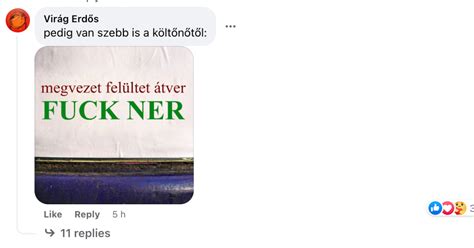 Telex Novák Katalin versajánlója alatt megjelent a szerző azzal hogy FUCK NER