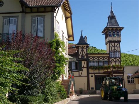 Terroirist: A Daily Wine Blog » Trimbach: An Alsatian Stalwart