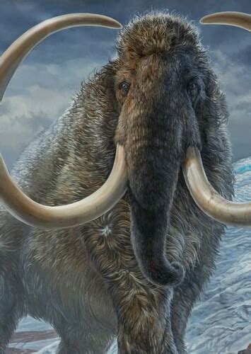 The Mammoth Follies Fan Casting On Mycast