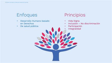 Ppt Pol Tica Nacional De Salud Mental Resoluci N De