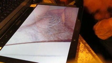 Show TimeSEXY PUSSY TRIBUTE XHamster