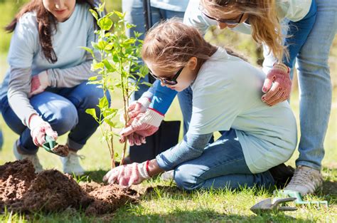 Group Of Volunteers Planting Tree In Park Dakota Electric Association®