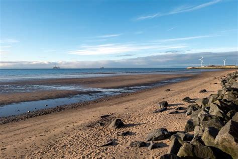 The best dog-friendly beaches in Scotland - Canine Cottages