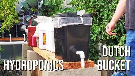 Hydroponics Dutch Bucket Breakdown And How To Youtube