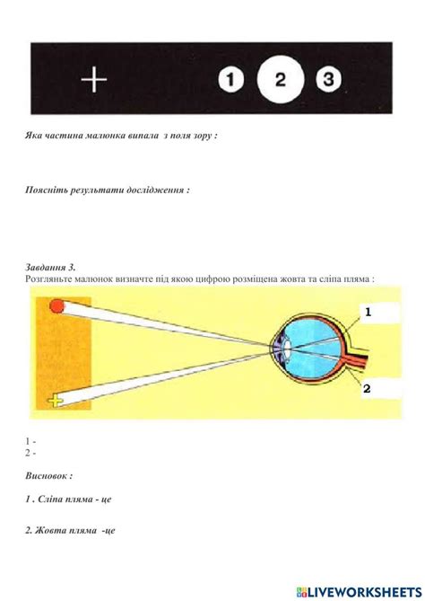 Лабораторна робота 10. Виявлення сліпої плями ока online exercise for ...