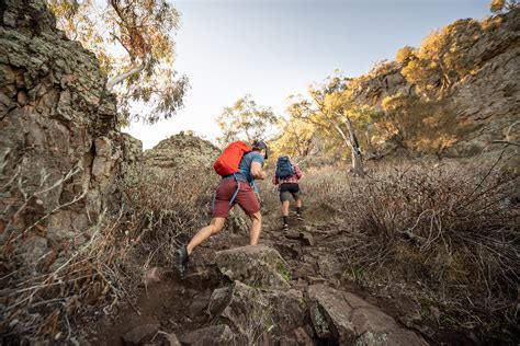 Theres More To The Snowys Than The Slopes Blog Nsw National Parks