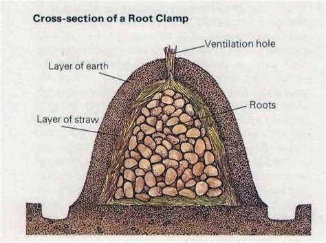 The Deliberate Agrarian Leaf Bags For Easy Garden Root Storagemy