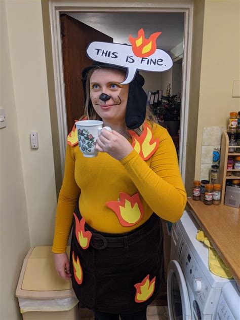 This Is Fine Meme Costume Clever Halloween Costumes Punny