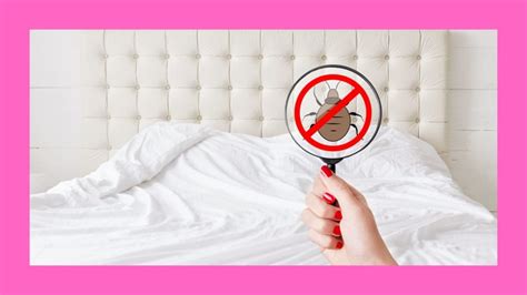 Can Bed Bugs Live in Your Hair? | 10 Myths about Bed Bugs