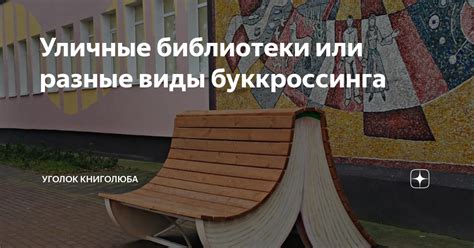 Уличные библиотеки или разные виды буккроссинга | Уголок книголюба | Дзен