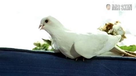 Carroll Baker Nude Naked Pics And Sex Scenes At Mr Skin