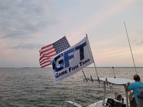 Custom Logo Boat & Nautical Flags – Fest Flags