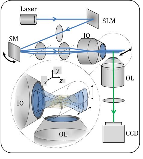 light sheet microscopy | Decoratingspecial.com