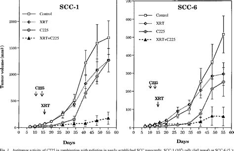 Figure 1 From Modulation Of Radiation Response After Epidermal Growth