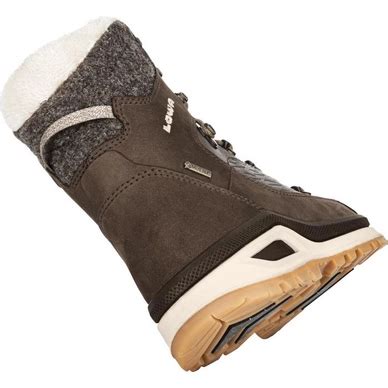 Wanderschuhe Lowa Renegade Evo Ice Gtx Women Brown Outdoorsupply De