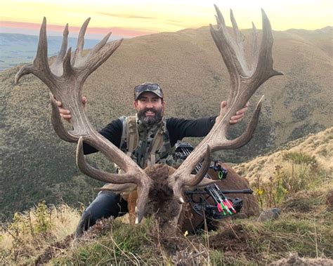 bowhunting  seasons safaris  zealand