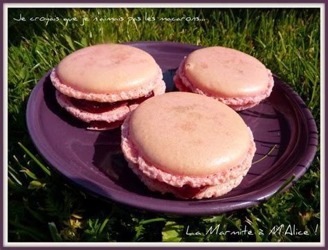 Mes Premiers Macarons La Framboise La Marmite M Alice