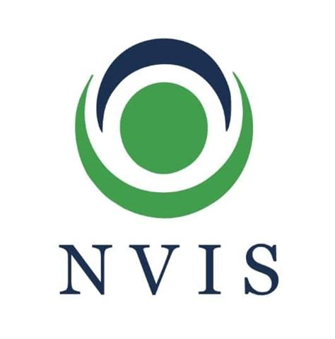 New Vision International School Nvis International Schools In Egypt