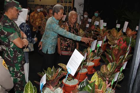 Pemkot Bogor Dorong Potensi Tanaman Hias Lewat Bogor Flora Festival