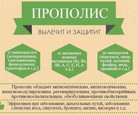 Мед с прополисом, полезные свойства и особенности приготовления