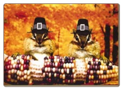 Chipmunk Eating Corn Thanksgiving Card