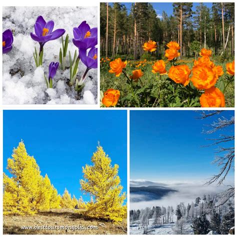 Best tour | Travel Mongolia |Tour Mongolia |Tours Mongolia |Tour to