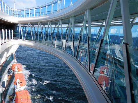 regal princess photo