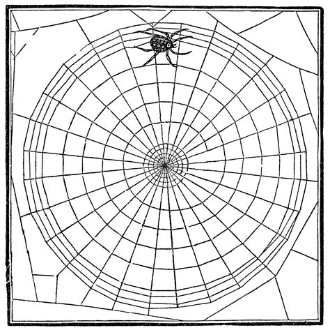 Spiders Clipart Black And White