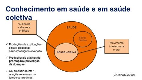 Introdução á Saúde Coletiva Flashcards