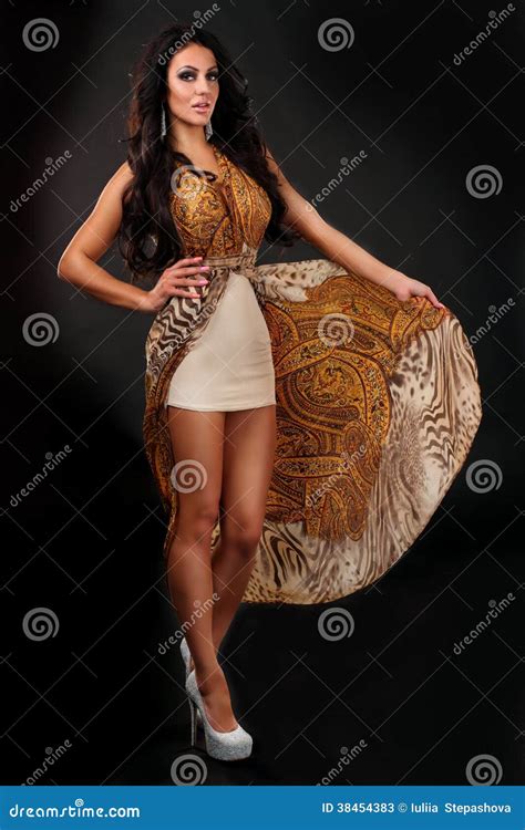 Luxurious Beautiful Brunette Woman Stock Image Image Of Dark Beauty 38454383
