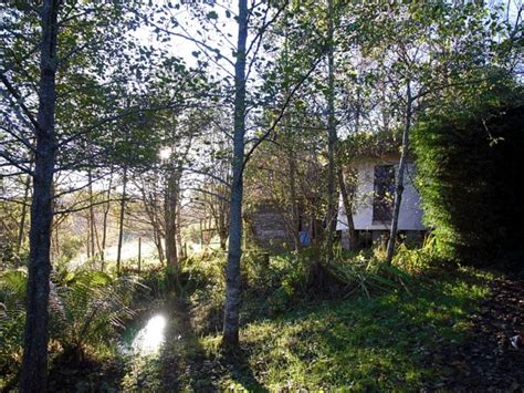 Embracing Shamanism About Venues And Facilities Anam Cara
