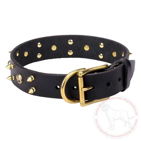 Get Leather Cane Corso Collar | Decorated Dog Gear